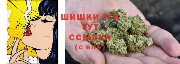 бошки Рославль